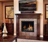 Mendota Modern Twigs Panoramic Fireplace